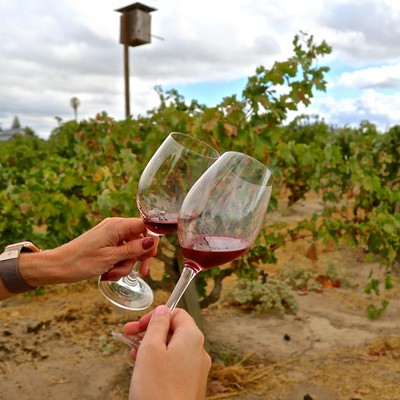Two glasses of red wine being clinked in a vineyard setting with grapevines and a birdhouse in the background.