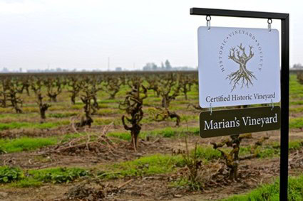 Vineyard sign for Marian's Vineyard at a historic Lodi winery, showcasing certified historic vineyard status.