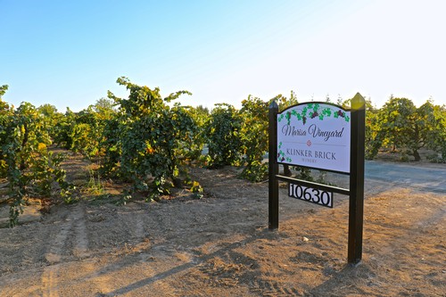 Vineyard sign at Maria Vineyard in Lodi Wine Region with grapevines in background.