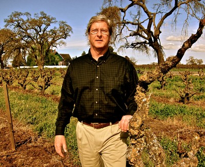Man standing in a vineyard with pruned grapevines and a clear sky in Lodi, California.