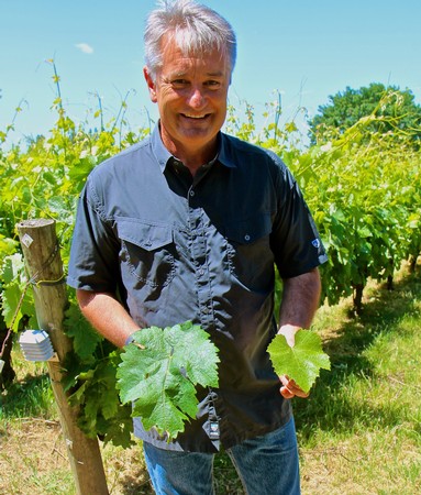Smiling man in vineyard holding grape leaves, showcasing Lodi wine grapes for SEO.