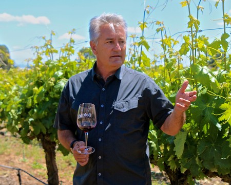 Man in vineyard holding a glass of wine and explaining grape growing process.