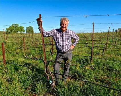 Man standing in a vineyard with grapevines and a clear blue sky in Lodi, California.