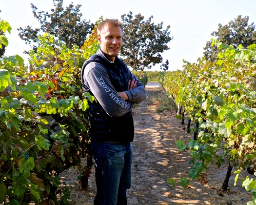 Man standing in a vineyard with lush grapevines in Lodi, California, during daytime.