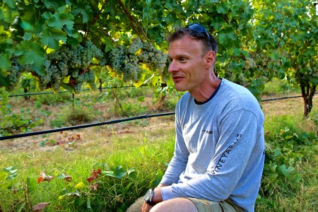 Man in vineyard with grapevines and lush green leaves, inspecting wine grapes in Lodi, California.