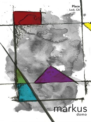 Abstract watercolor map of Lodi, California with colorful geometric shapes and black lines, representing the Lodi Winegrape.