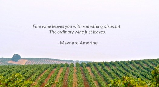 Vast vineyard landscape in Lodi with rows of grapevines and a quote about wine by Maynard Amerine.