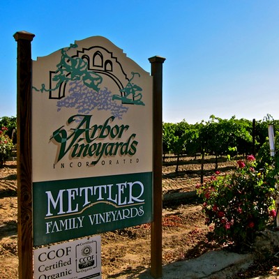 Sign for Arbor Vineyards and Mettler Family Vineyards in a vineyard setting with grapevines and flowering plants.