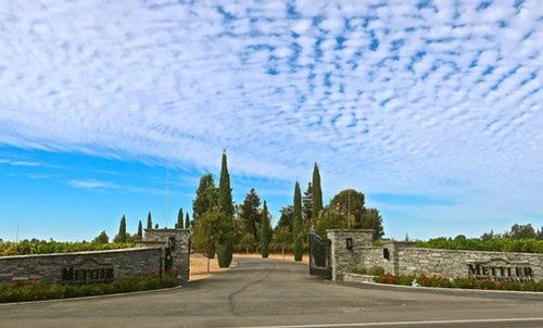 Scenic vineyard entrance with stone walls, tall cypress trees, and a blue sky with scattered clouds.