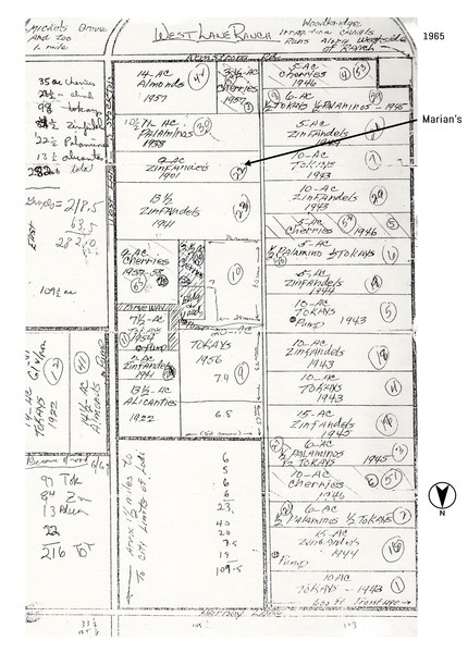 Historical vineyard map of Lodi region showing grape varieties and planting details from 1985.