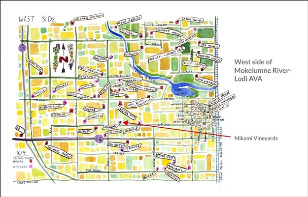 Map of Lodi Winegrape Commission with key vineyards and landmarks in Lodi, California.