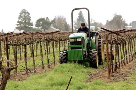 Farmer driving a green tractor through a vineyard in Lodi, California during harvest season.