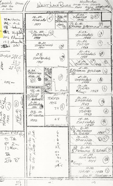 Detailed vineyard map of Lodi Winegrape Commission with grape varieties and planting dates.