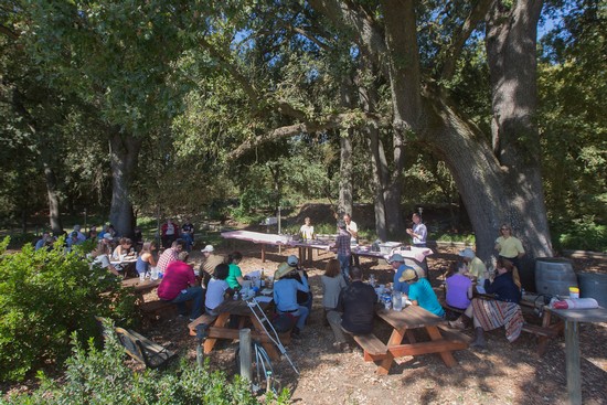 Group of people attending an outdoor event under large trees in a park setting.
