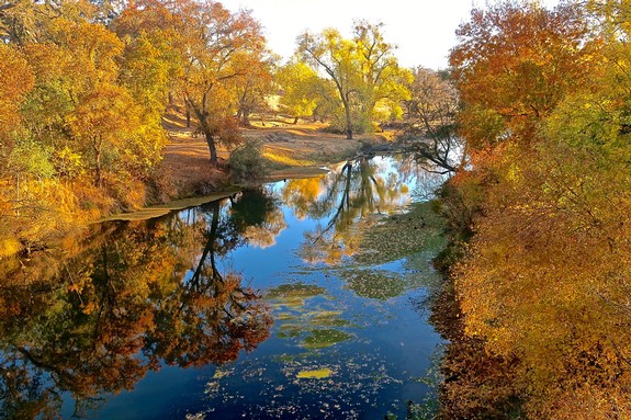 Scenic view of a river surrounded by colorful fall foliage in Lodi, California.