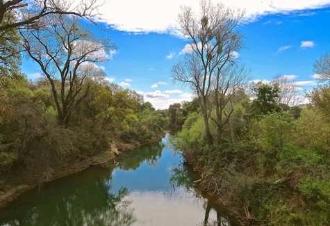 Scenic view of a river flowing through lush greenery and trees in Lodi, California, under a bright blue sky.