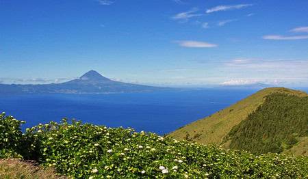Beautiful landscape with Mount St. Helens, lush green hills, and the Columbia River under a blue sky.