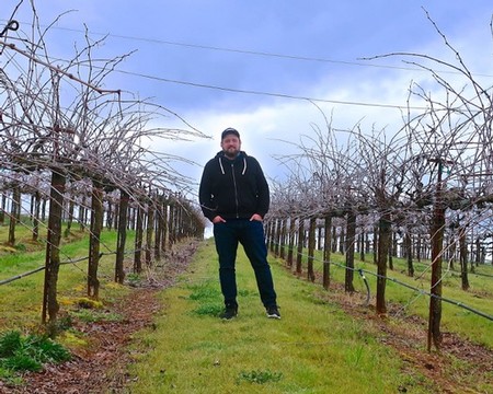 Man standing in a vineyard with leafless grapevines in Lodi, California, during cloudy weather.