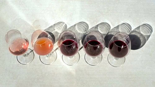 Five glasses of wine with different colors from light pink to deep red, casting shadows on a white surface.