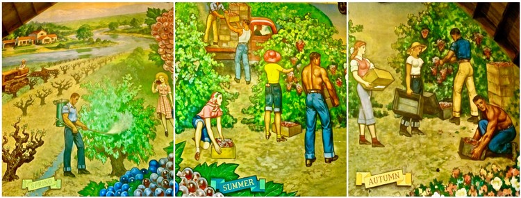 Colorful illustration of Lodi winegrape harvest scenes in summer and autumn with workers and vineyards.