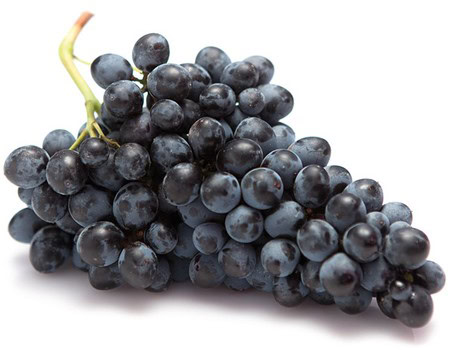Fresh black grapes from Lodi Winegrape Commission, ideal for wine production and tasting.