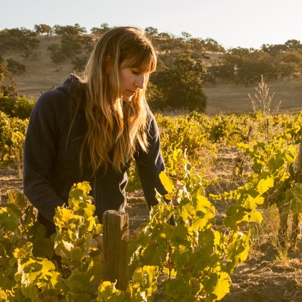Young woman inspecting grapevines in a vineyard during golden hour in Lodi, California.