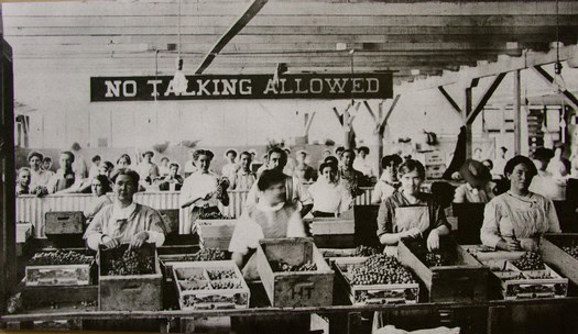 Women working at a market stall with a 'No Talking Allowed' sign overhead, vintage black and white photo.
