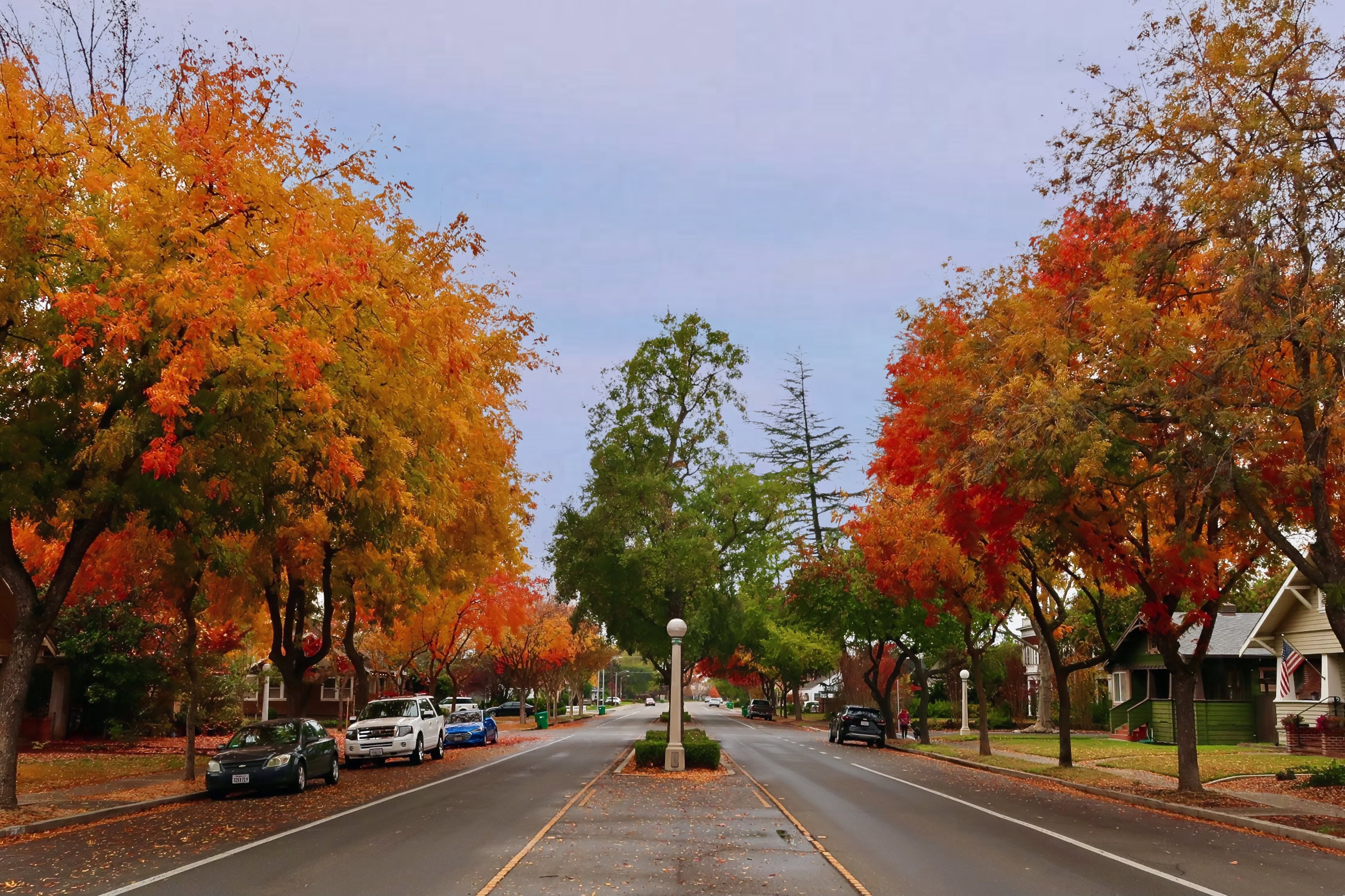 Colorful autumn trees lining a residential street in Lodi, California, during fall.