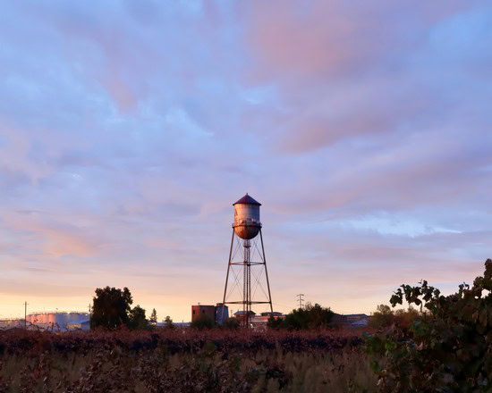 Scenic view of a water tower at sunset in Lodi, California, with vineyards and trees in the foreground.