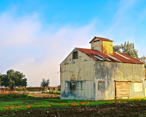 Rustic barn in Lodi with weathered metal siding and a small upper structure, set against a clear blue sky.