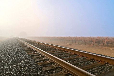 Railroad tracks running through a vineyard in Lodi, California, with a foggy sky and distant horizon.