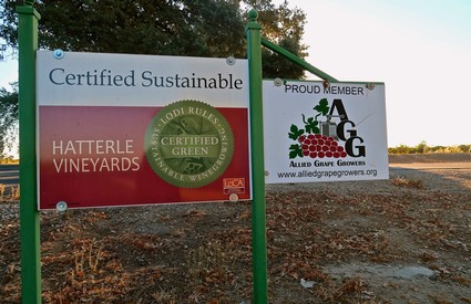 Certified Green sign at Lodi vineyards promoting sustainable winegrowing practices.