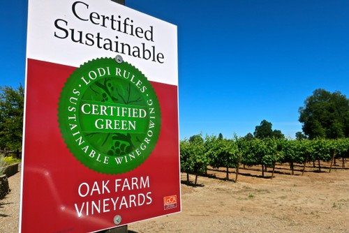 Certified sustainable vineyard sign at Oak Farm Vineyards in Lodi, emphasizing eco-friendly winegrowing practices.