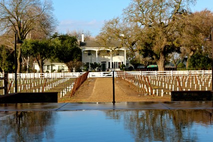 Vineyard with a white building, trees, and a water feature in Lodi, California.