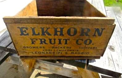 Old wooden crate labeled Elkhorn Fruit Co. for storing and transporting fruits, vintage agricultural packaging.