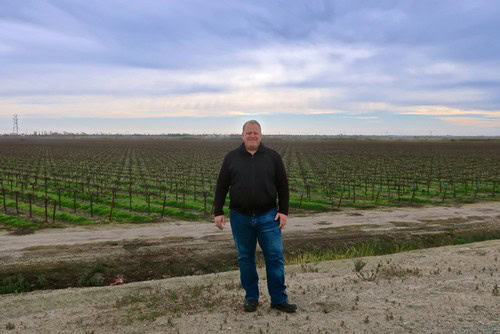Man standing in a vineyard with rows of grapevines under a cloudy sky in Lodi, California.