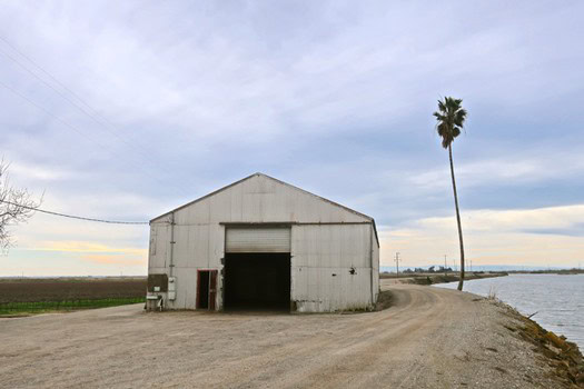 Rustic vineyard storage barn with palm tree and water view in Lodi, California.
