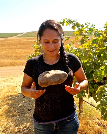 Young woman in vineyard holding a large rock, surrounded by grapevines and open fields under a clear sky.