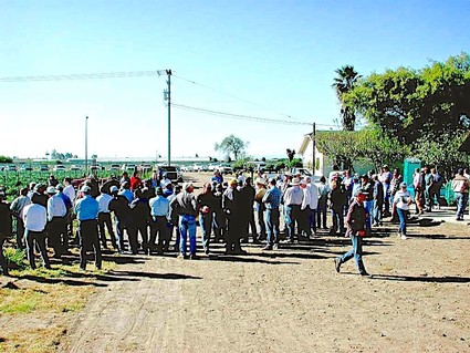 Crowd gathered at a Lodi wine event, showcasing local wine industry engagement and community involvement.