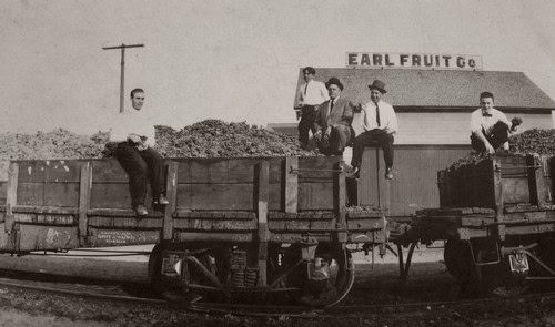 Vintage photo of workers on a train car during Lodi winegrape harvest, with Earl Fruit Co. building in background.