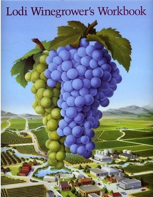 Illustration of a large bunch of purple and green grapes with a vineyard landscape in the background.