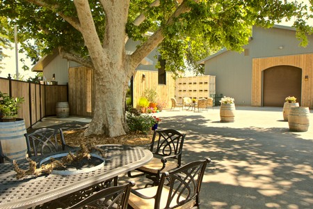 Outdoor scene with large tree, patio furniture, and barrels at Lodi Winegrape Commission.