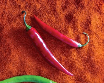 Two red chili peppers on a textured orange background, with a green chili partially visible at the bottom.