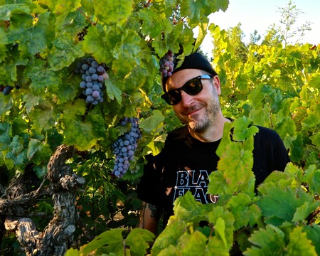 Man in sunglasses among lush grapevines during harvest at Lodi Winegrape Commission.