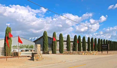 Lodi Winegrape Commission building with cypress trees and blue sky in Lodi, California.