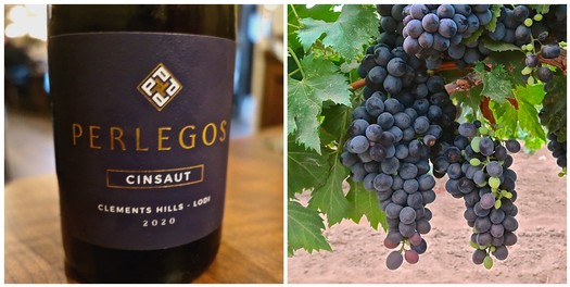 Close-up of a wine bottle labeled Perlegos Cinsault and a bunch of ripe grapes on the vine.