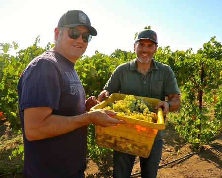 Two men in a vineyard holding a crate of freshly picked grapes, smiling at the camera.