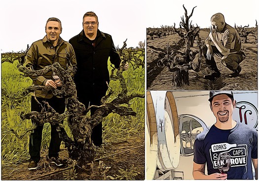 Two men in vineyard with grapevines and a gnarled vine trunk, representing Lodi Winegrape Commission activities.