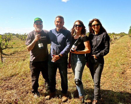 Group of four people enjoying wine tasting in a vineyard during harvest season in Lodi, California.