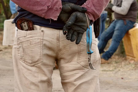 Worker holding pruning shears during grape harvest at Lodi Winegrape Commission.